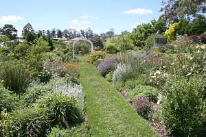 Herbaceous borders