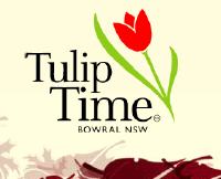 tuliptime logo