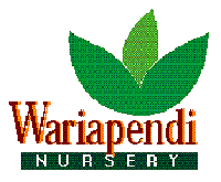 Wariapendi
