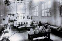 Cheese Factory