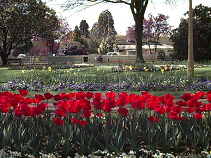 Corbett Gardens