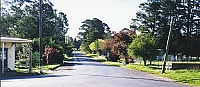 Country lanes