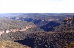 Bundanoon Gullies