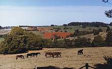 Red earth at Robertson