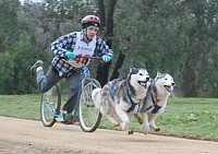 Huskies racing