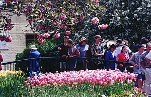 Corbett Gardens