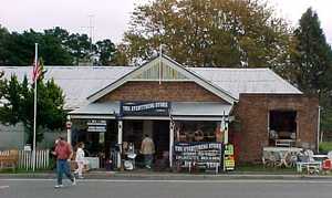 The Everything Store