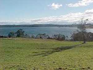 View over the lake