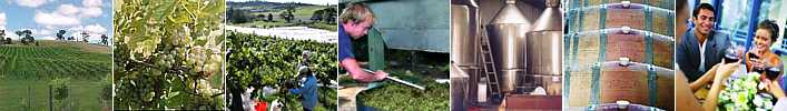 Cool Climate Wines