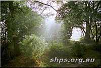 SHPS