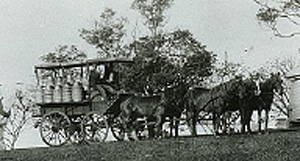 Taking milk to dairy