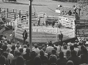 Milton Park Sale