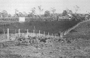 Yates nursery